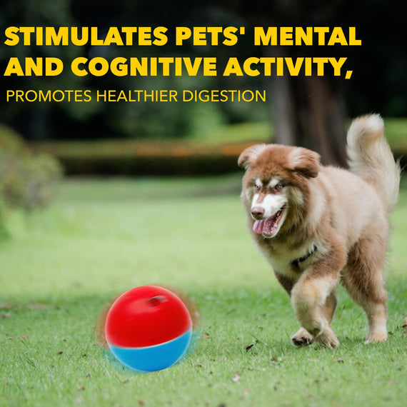 amicus Crazy Ball - 15x100g + 15x300g Treat Dispenser - Dog Toy (Red/Blue)