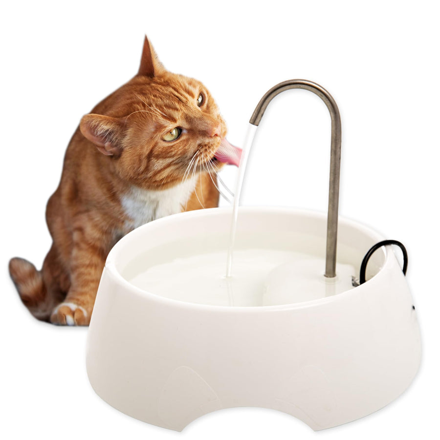 AMICUS - Aqua Mini Portable Water Fountain for Pets - Stainless Steel Faucet - Automatic Pet Drinking Fountain and Dispenser for Cats and Dogs