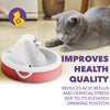 AMICUS - Aqua Flow Water Fountain for Pets - Cats and Dogs Fountains, Anti-Hair Drainage System