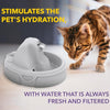 AMICUS - Aqua Flow Water Fountain for Pets - Cats and Dogs Fountains, Anti-Hair Drainage System