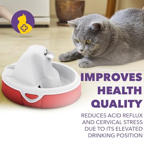AMICUS - Aqua Flow Water Fountain for Pets - Cats and Dogs Fountains, Anti-Hair Drainage System